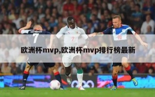 欧洲杯mvp,欧洲杯mvp排行榜最新