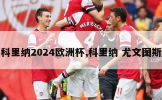 科里纳2024欧洲杯,科里纳 尤文图斯