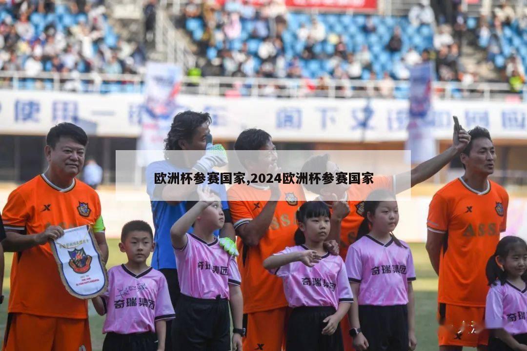 欧洲杯参赛国家,2024欧洲杯参赛国家-第1张图片-