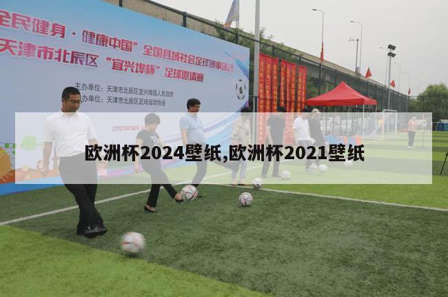 欧洲杯2024壁纸,欧洲杯2021壁纸-第1张图片-