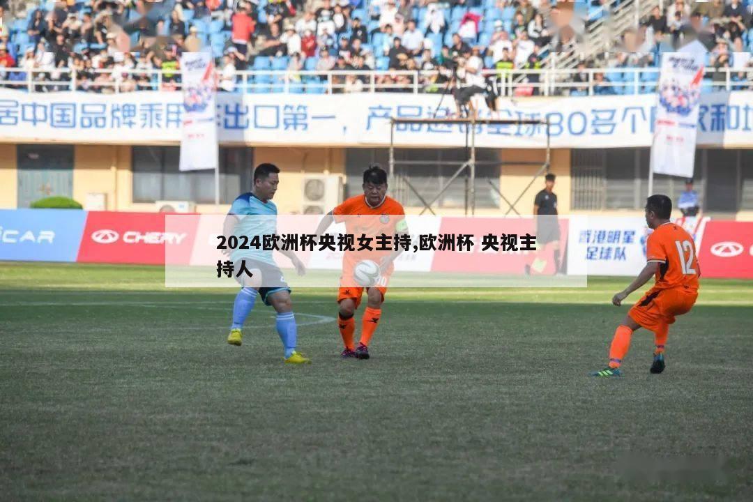 2024欧洲杯央视女主持,欧洲杯 央视主持人-第1张图片-