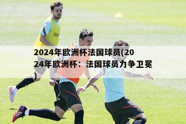 2024年欧洲杯法国球员(2024年欧洲杯：法国球员力争卫冕)-第1张图片-