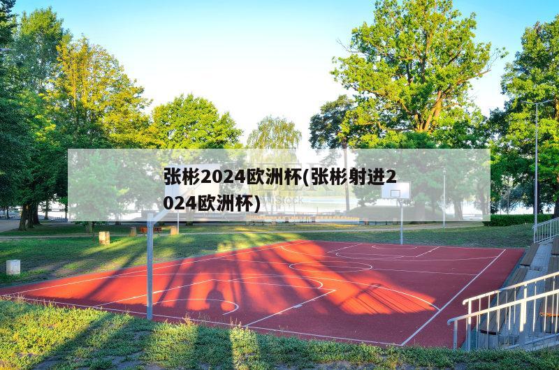 张彬2024欧洲杯(张彬射进2024欧洲杯)-第1张图片-