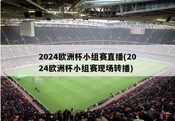 2024欧洲杯小组赛直播(2024欧洲杯小组赛现场转播)-第1张图片-